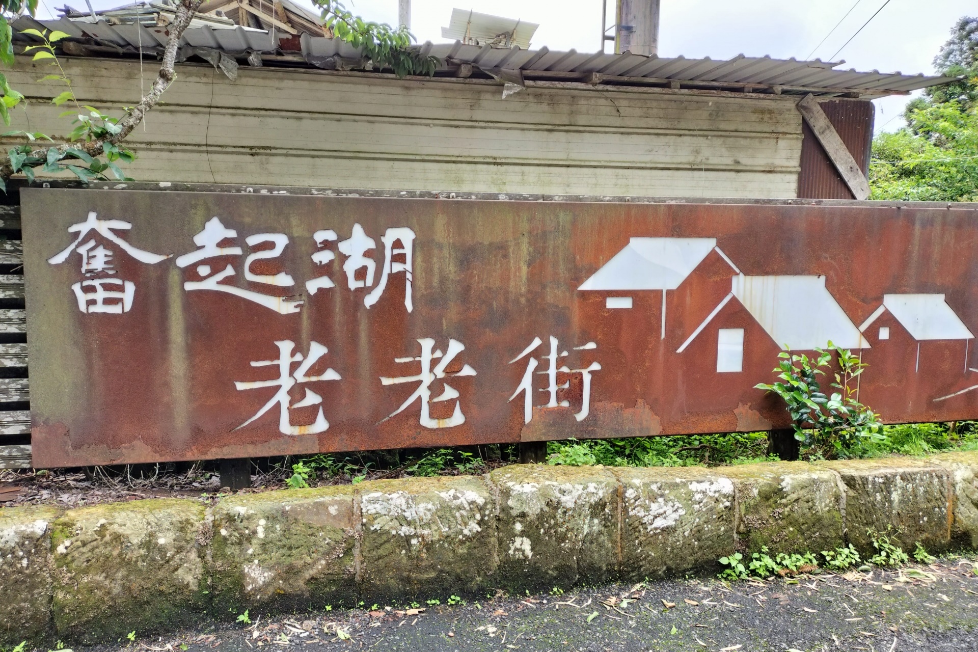 台中出發阿里山包車一日遊