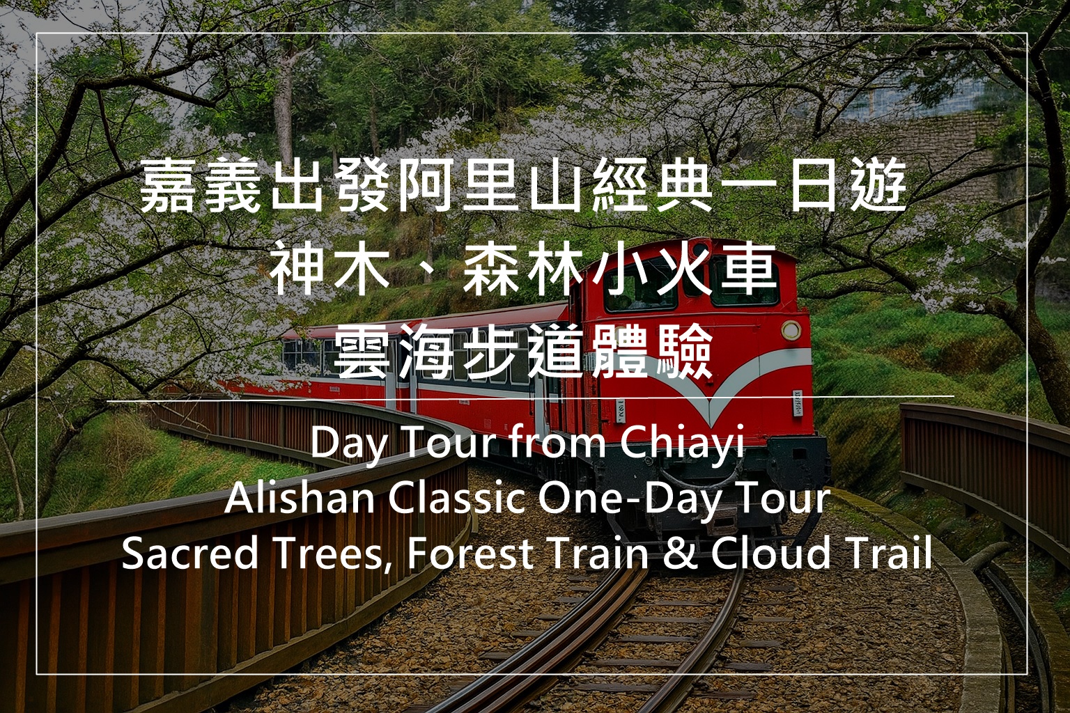 阿里山包车一日游、嘉义出发阿里山自由行、阿里山神木小火车一日游、塔塔加观景台包车、阿里山森林游乐区包车、奋起湖老街行程