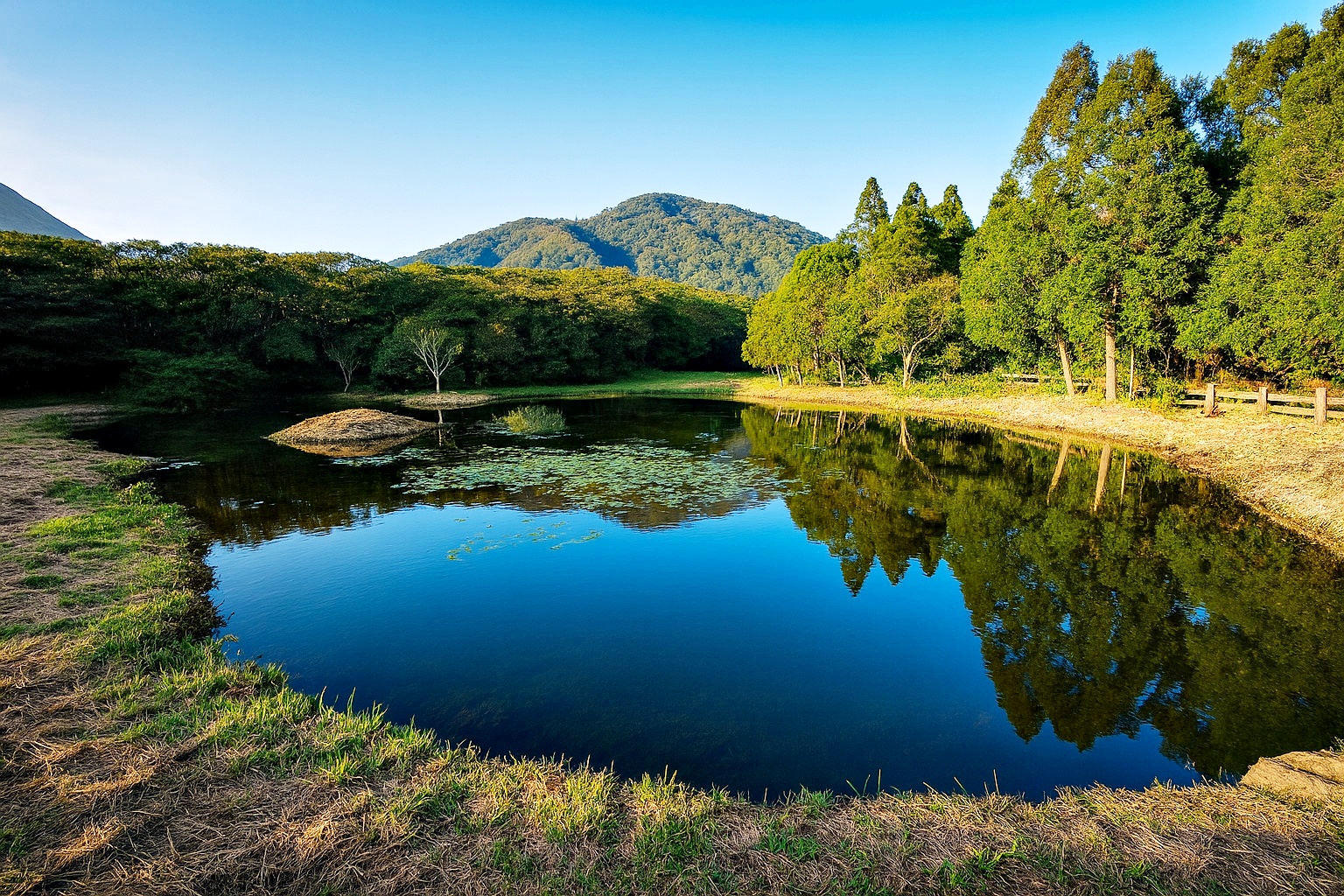 阳明山花季一日游、北投温泉一日游、淡水包车、阳明山步道行程